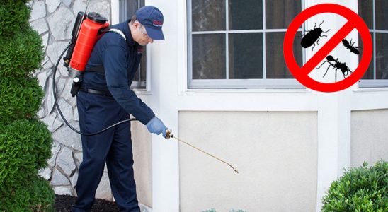 Sivaslı Haşere İlaçlama böcek ilaçlama ve haşere kontrolü — ilaclama-tr.com